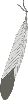 graphic - feather